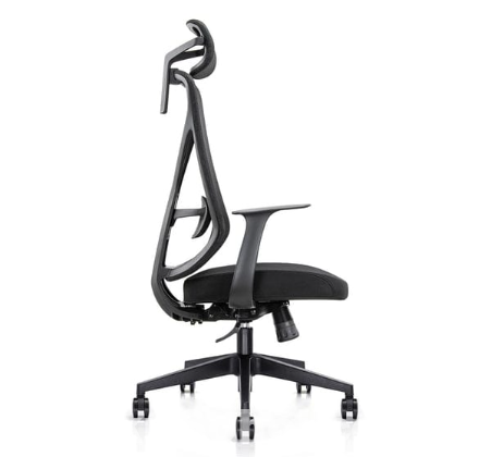 Ergo Comfy B1 – Premium Ergonomic Chair